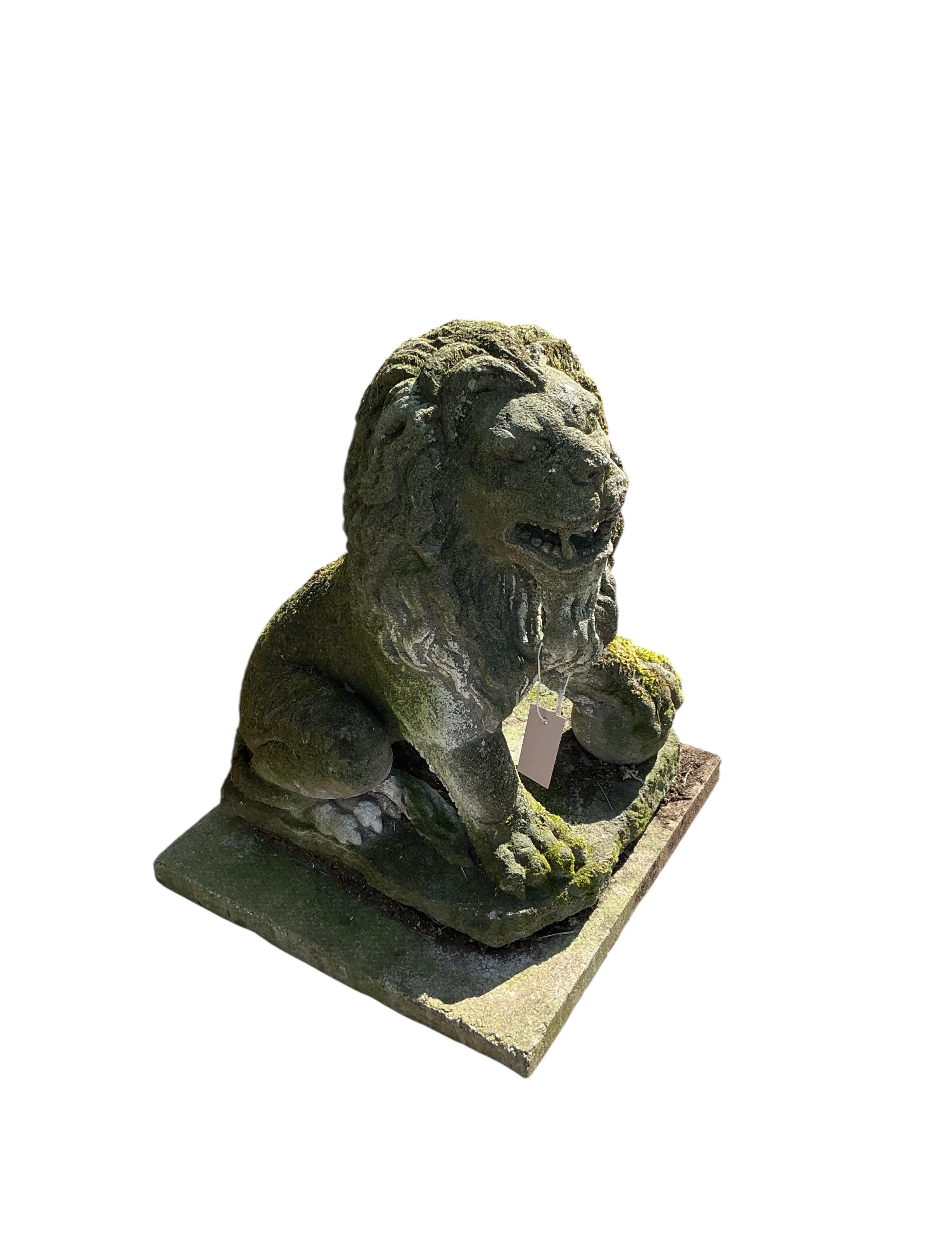 A reconstituted stone seated lion garden ornament, height 60cm
